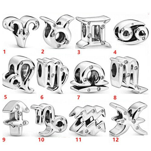 Zodiac Charms