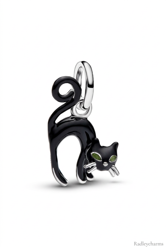 Front view with white background and Radleycharms watermark